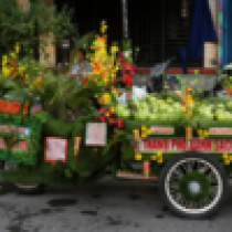Tet spirit bears fruit in a Saigon vendor’s hands