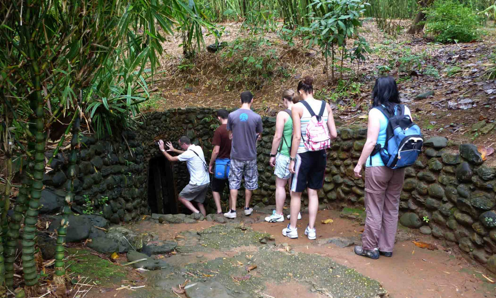 Cu Chi Tunnels Half Day Tour By Bus